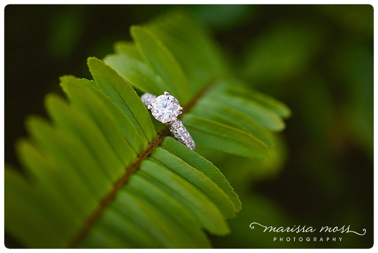 south tampa engagement photographer hyde park_0004.jpg