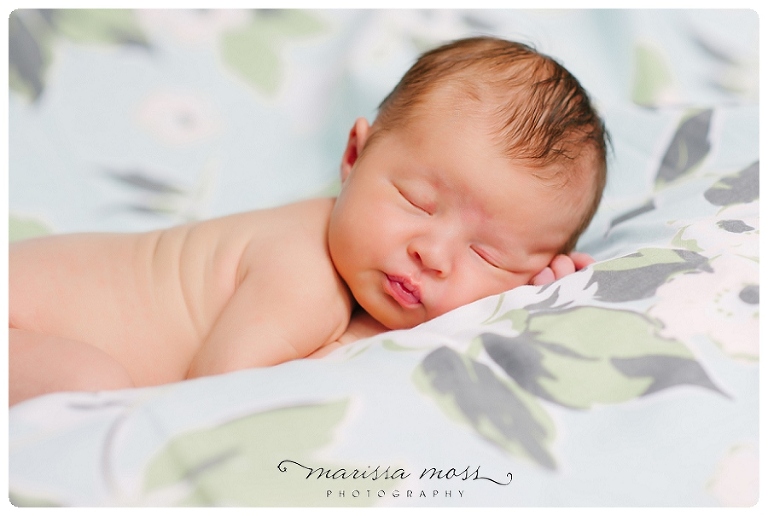 20130604 south tampa newborn photographer_0001.jpg