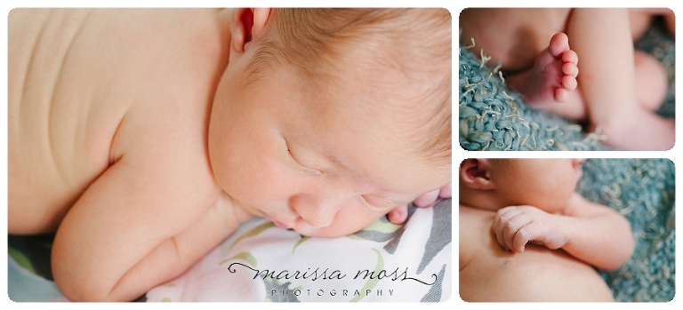 20130604 south tampa newborn photographer_0002.jpg