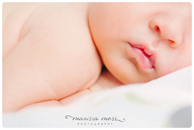 20130604 south tampa newborn photographer_0003.jpg