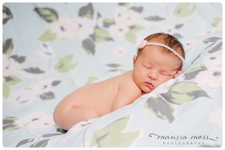 20130604 south tampa newborn photographer_0004.jpg